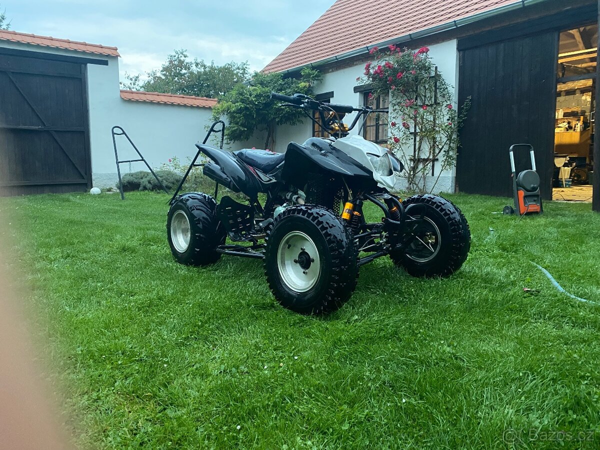 Bashan 250 bez TP