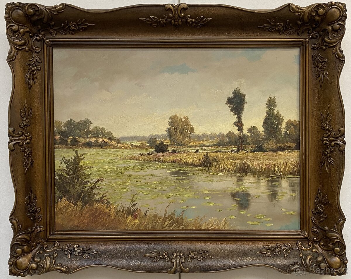 Karel Karas - Lekníny