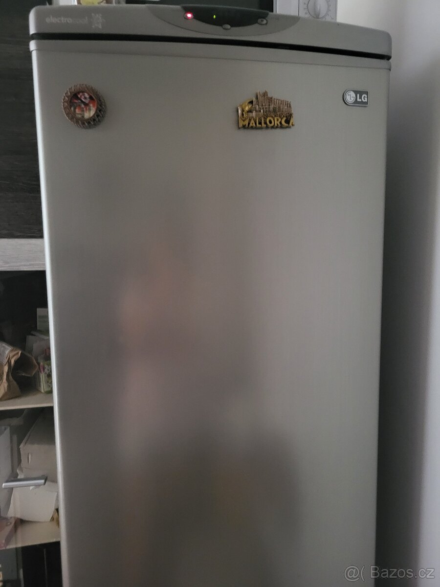 Lednice LG s mrazakem