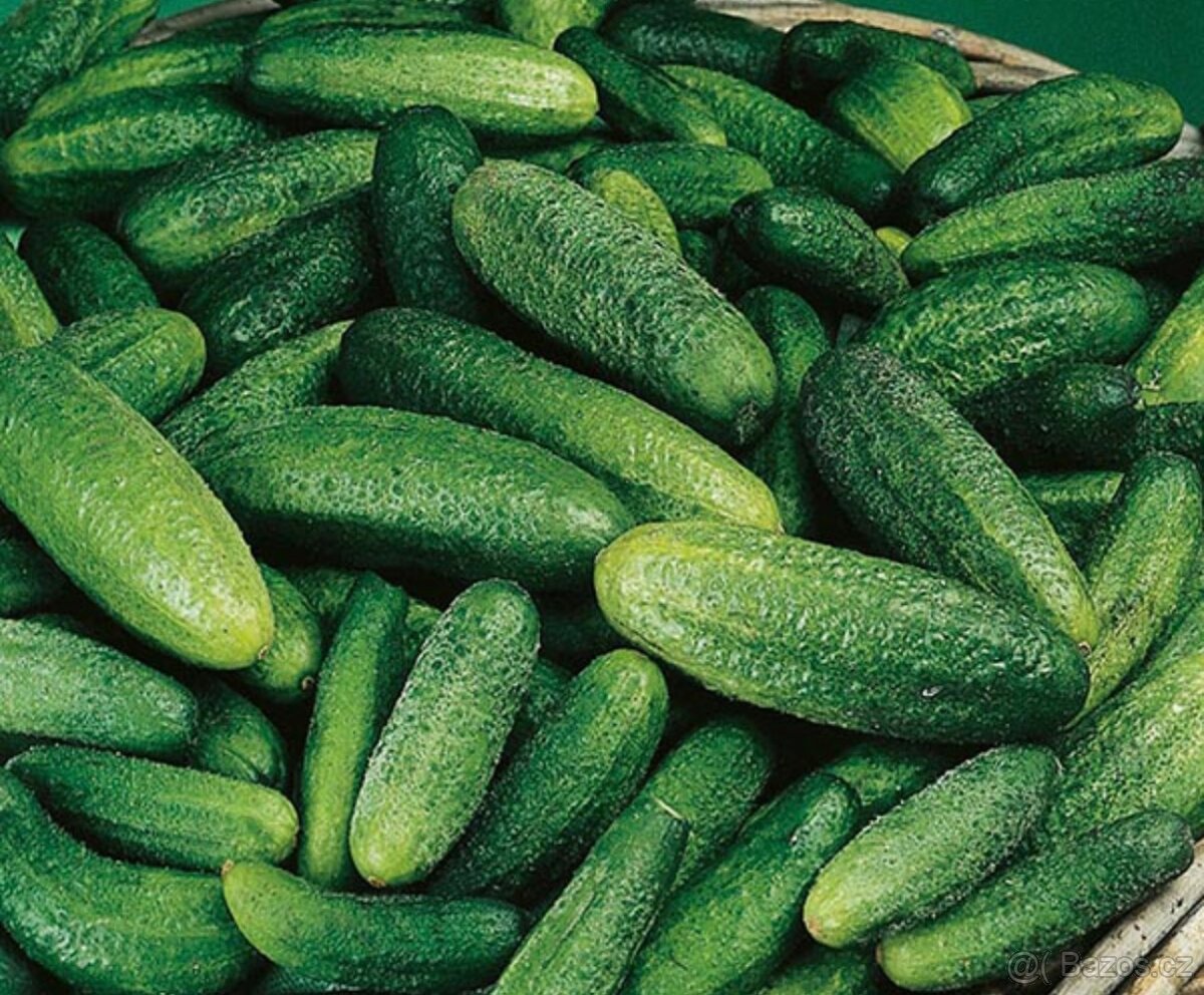 Nakládačky