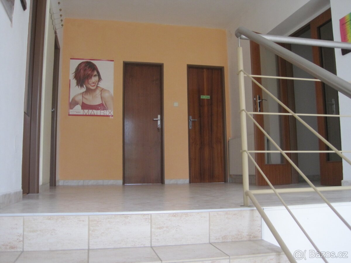 Pronájem v Přepychách