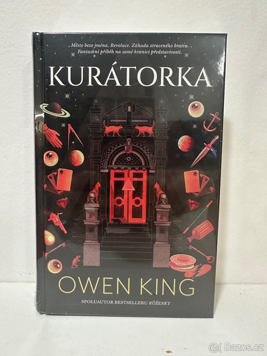 Kurátorka - Owen King
