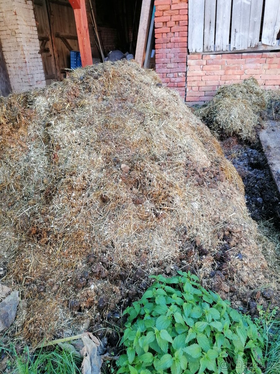 Koňský hnůj za odvoz