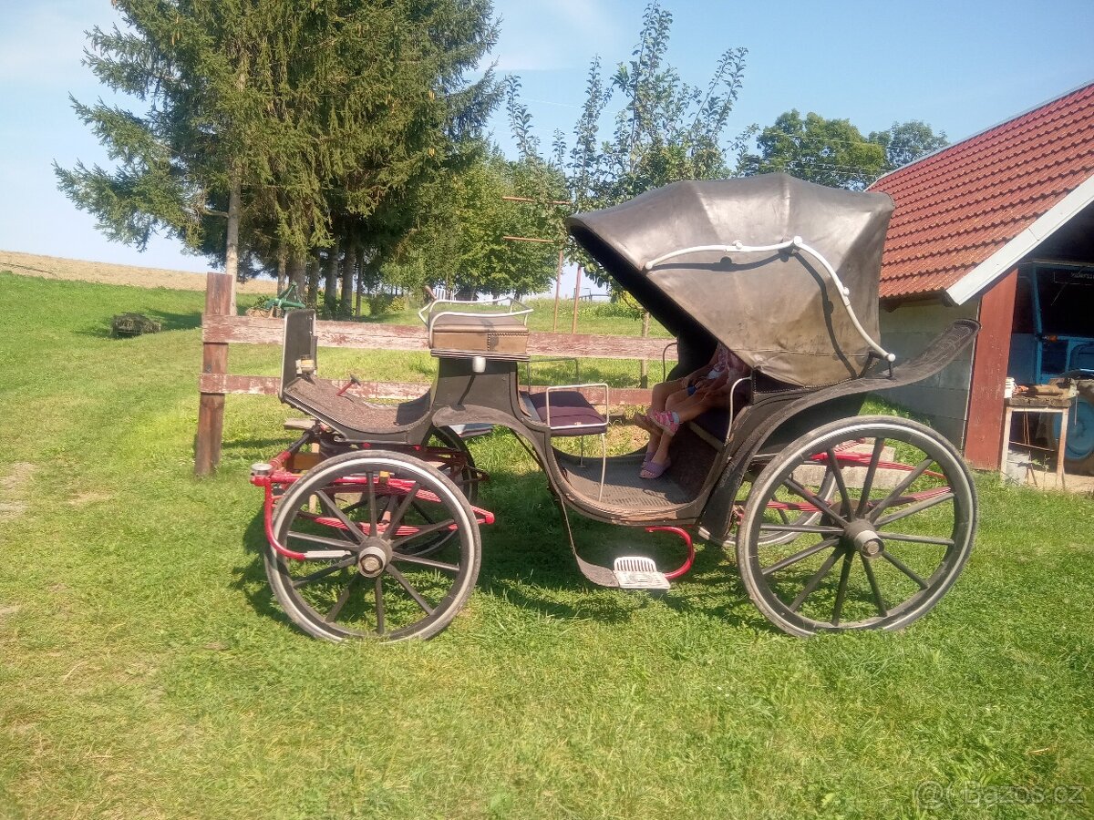 kočar Viktoria