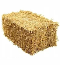 Koupím malé balíky slámy