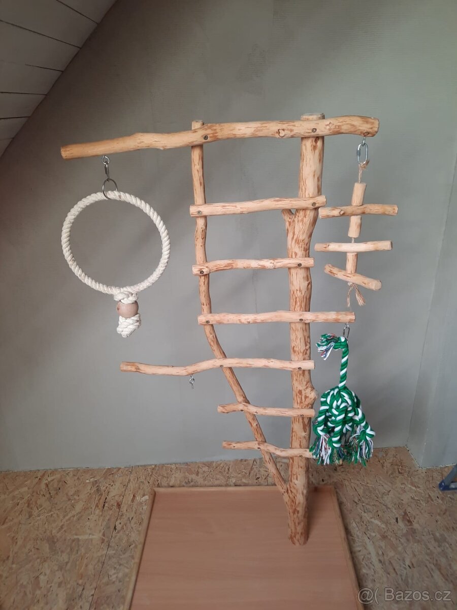 Strom pro papoušky