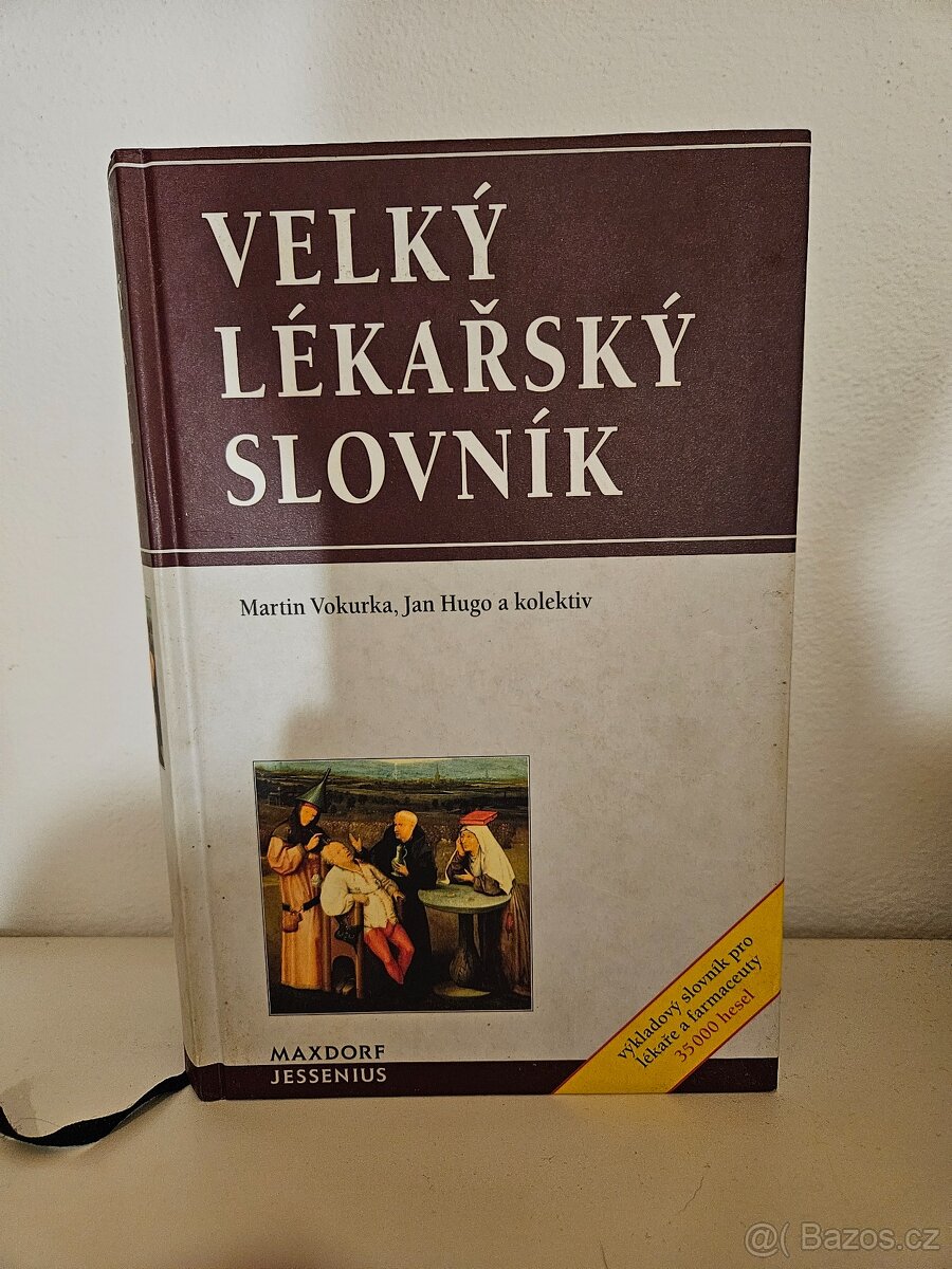 Velký lékařský slovník