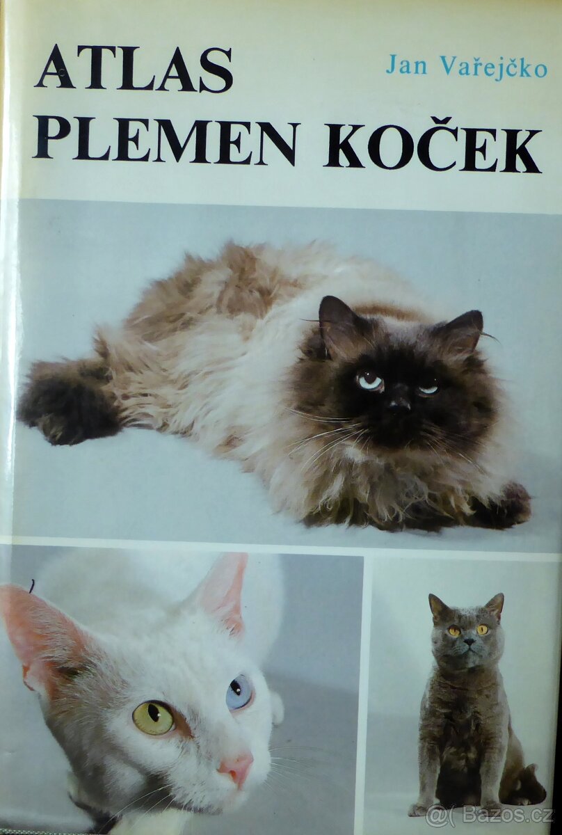 Atlas plemen koček - Jan Vařejčko