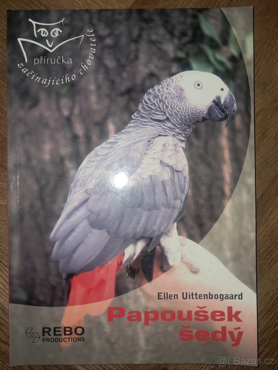 Papoušek šedý