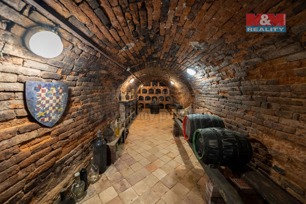 Prodej vinného sklepu, 55 m², Josefov