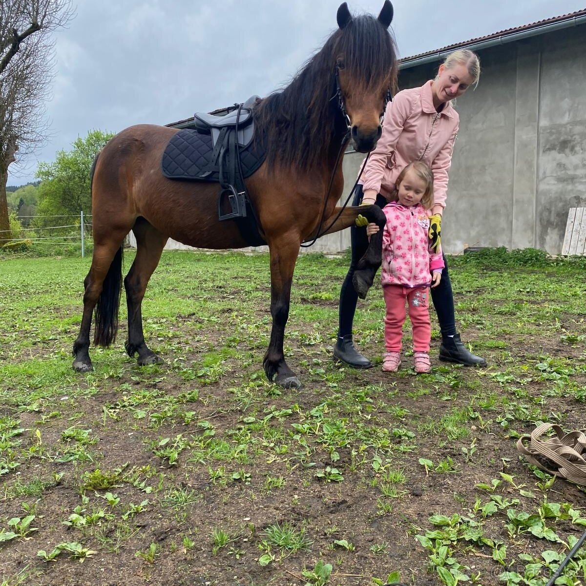 Pony kobylka