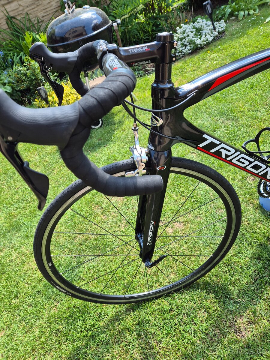 TRIGON