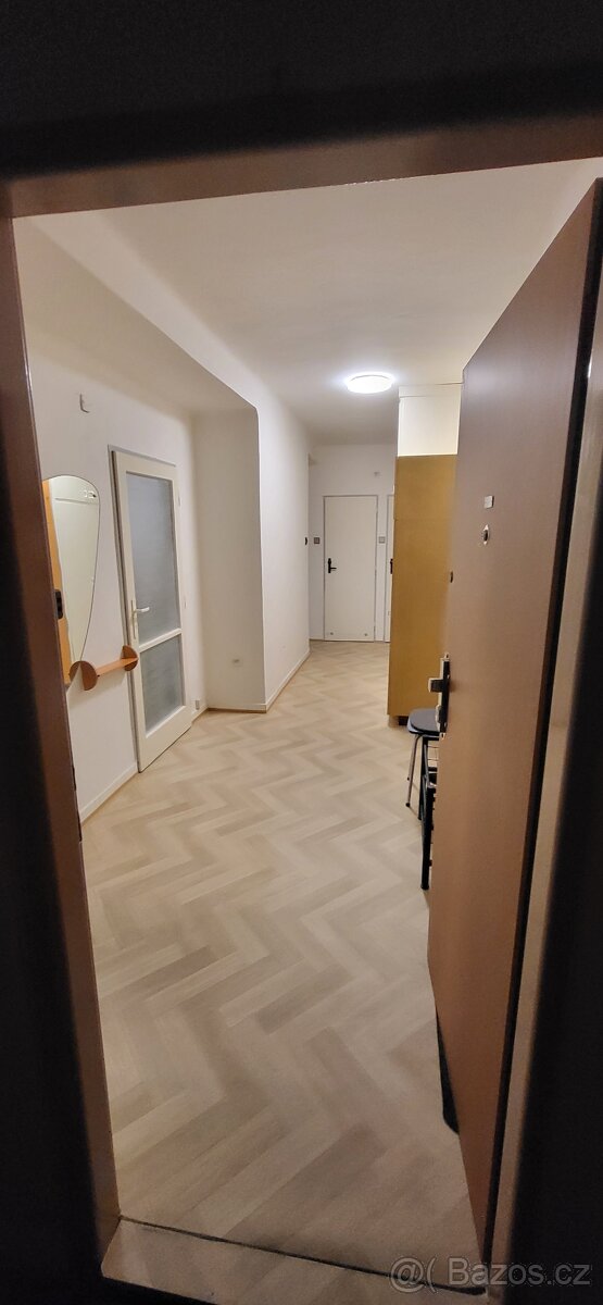 Pronájem bytu 2+1 v ulici Ořechová 13 v Plzni