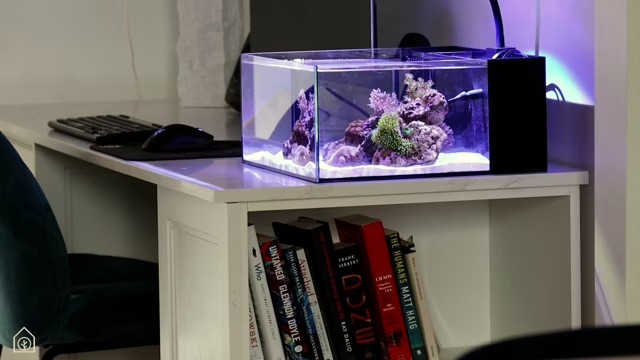 Nové Mořské Nano Akvárium