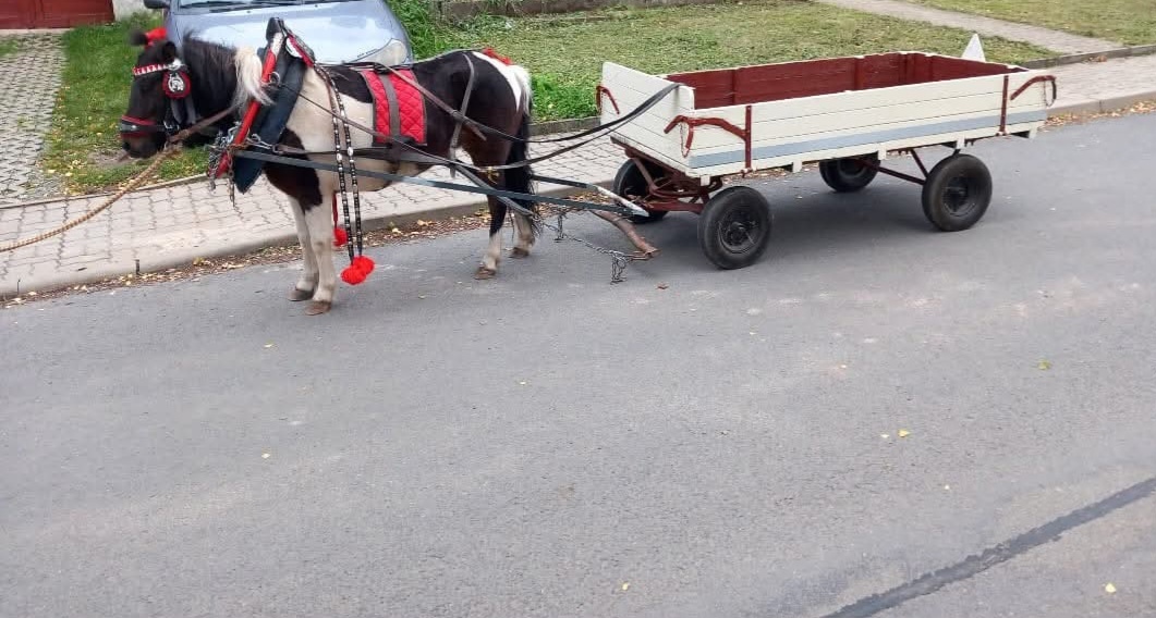 Vozik za pony