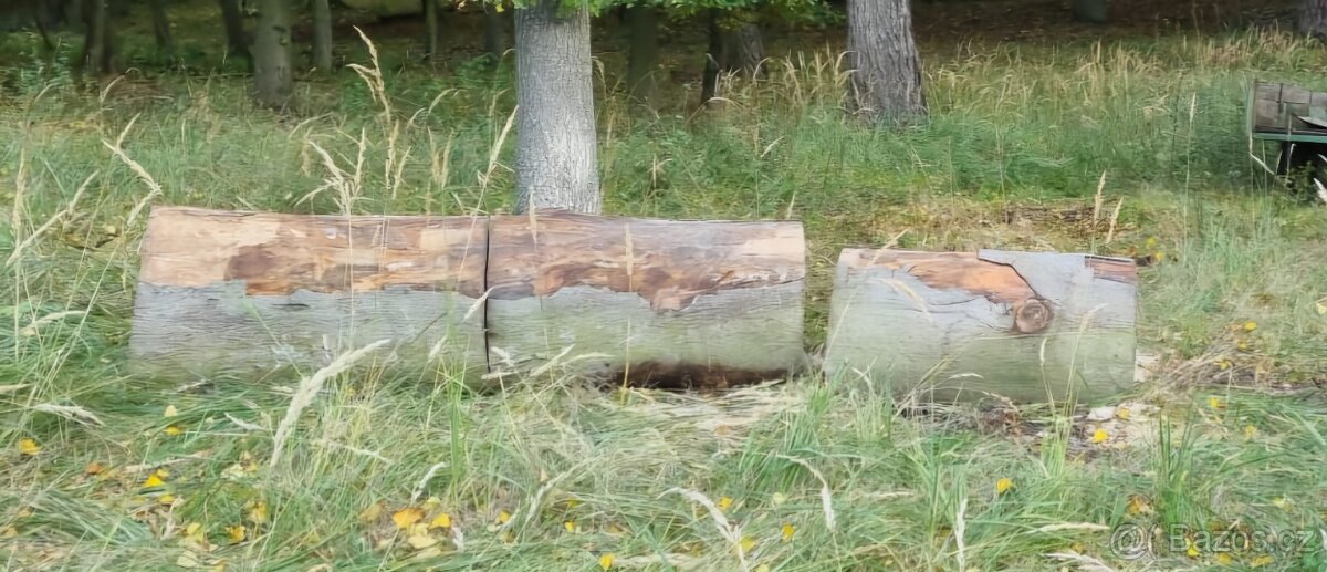 Špalky, špalek, buk