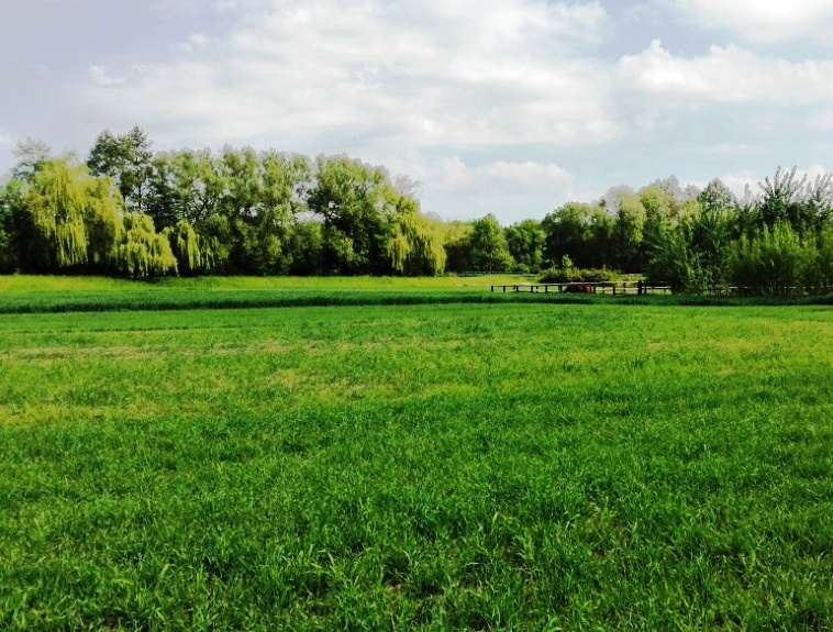 Pozemek - komerční - výroba a skladování 9.700 m2 -