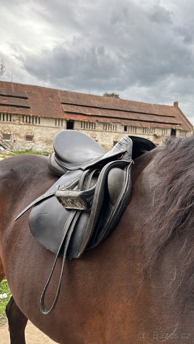 Sedlo kentaur Apollon