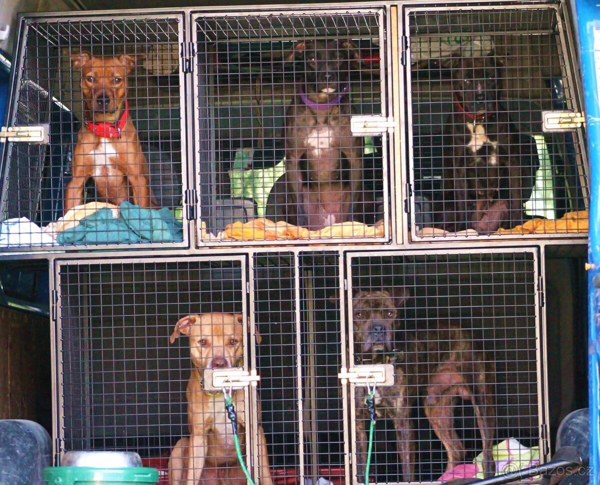 Klec pro psy do auta