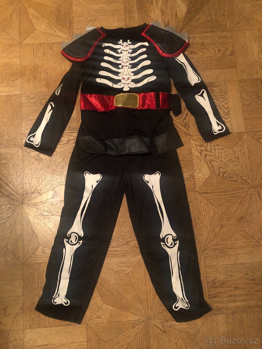 Karnevalový kostým