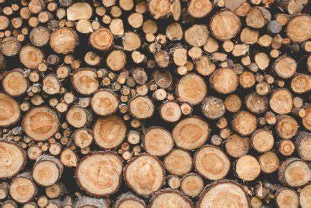 Palivové dřevo - prodej -