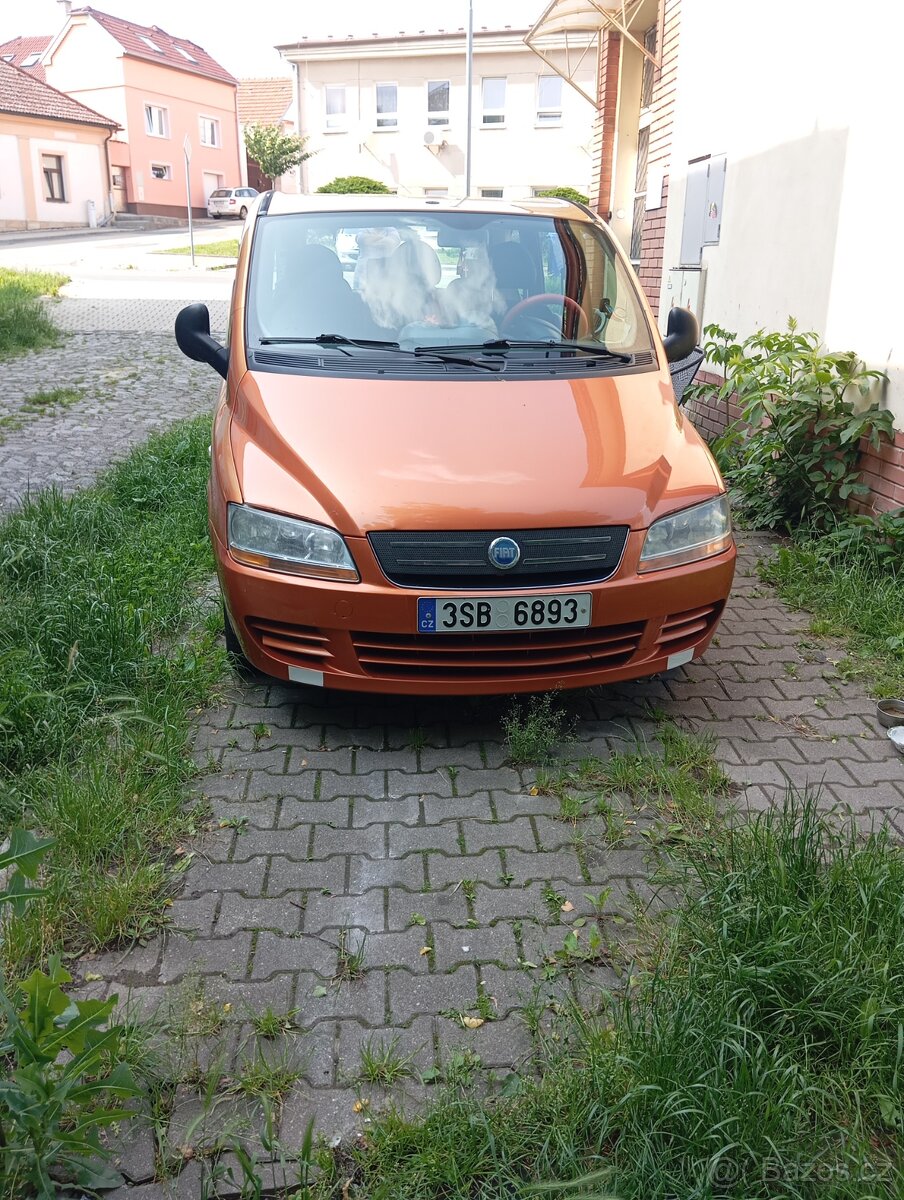 Multipla