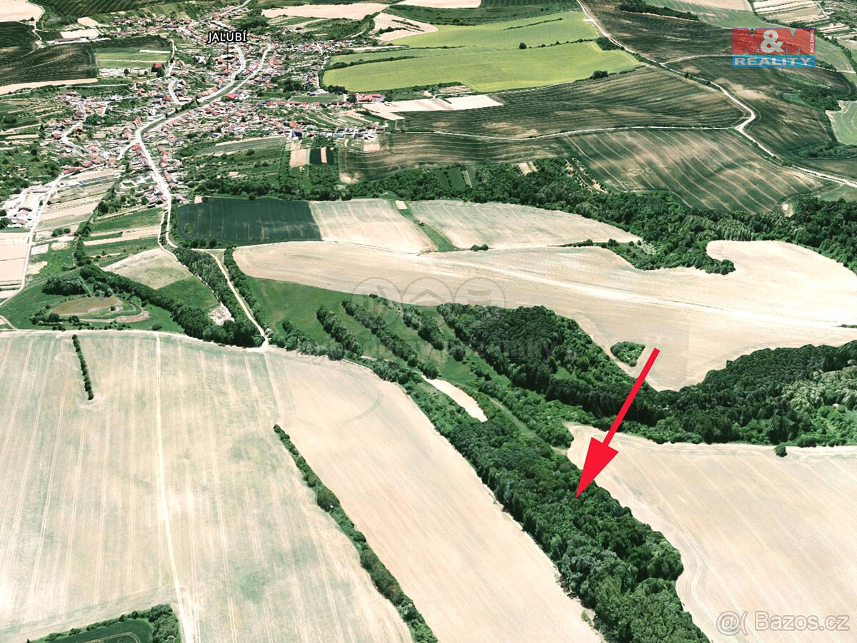 Prodej louky, 1189 m², Jalubí