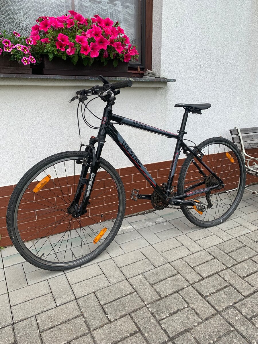 Pánské kolo Westige Speed