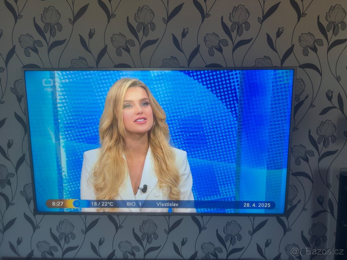 Televize Sony Bravia