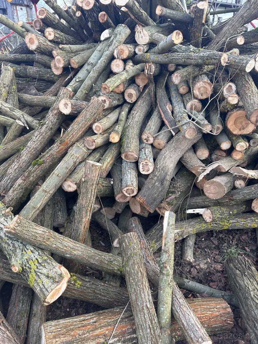 Listnaté dřevo 700/m3