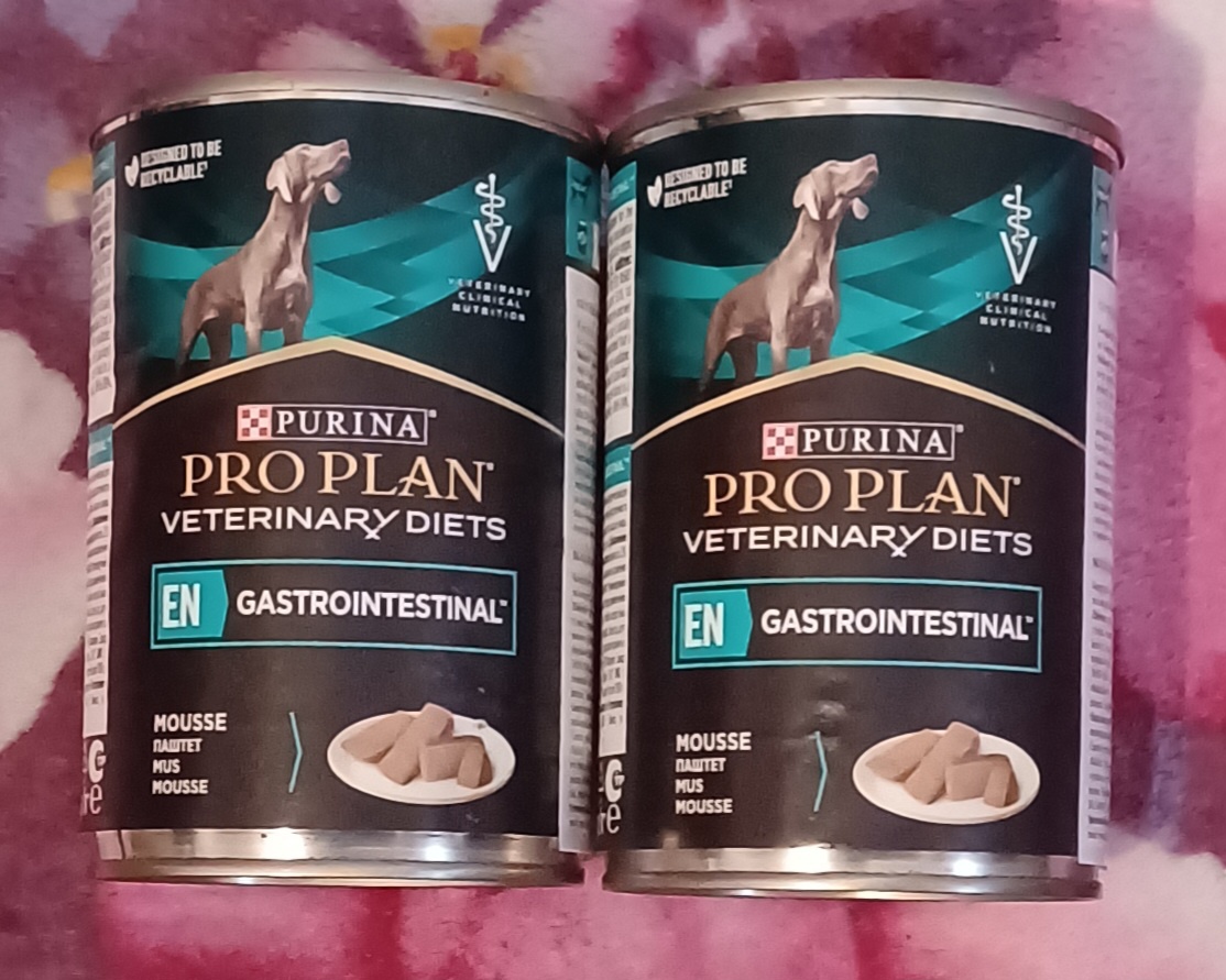PURINA PPVD Canine EN gastrointestinal konz.400g