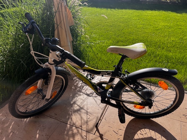 Dětské kolo 20 ROCKMACHINE