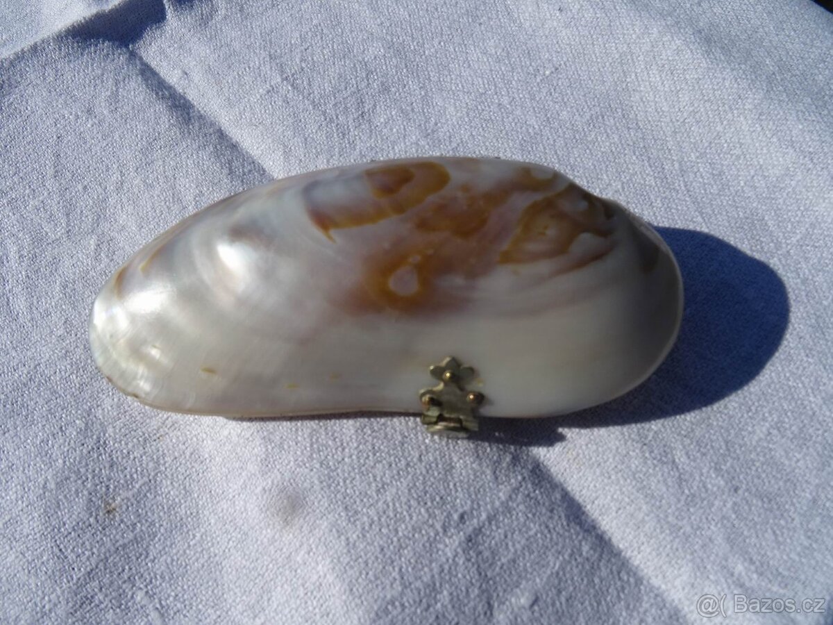 Starožítná etui z lastury.