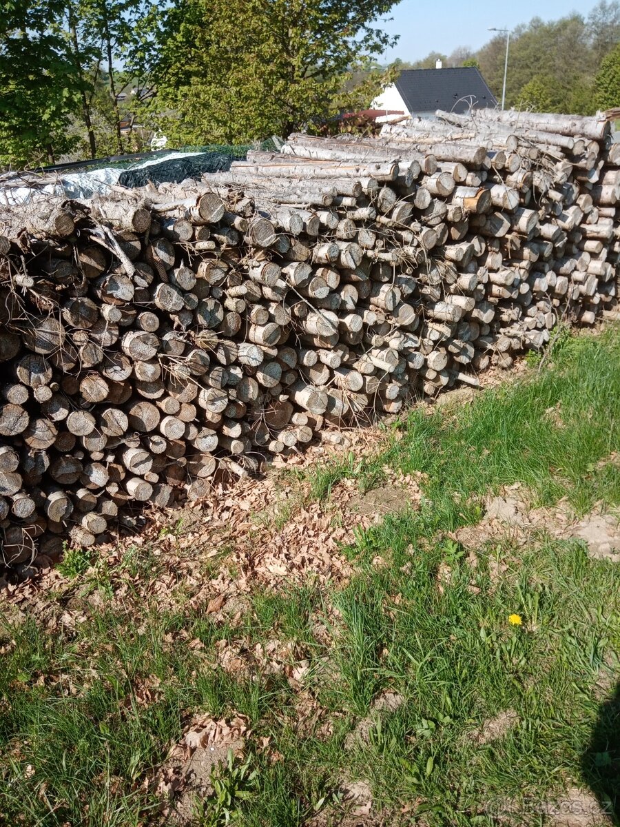 Palivové dřevo