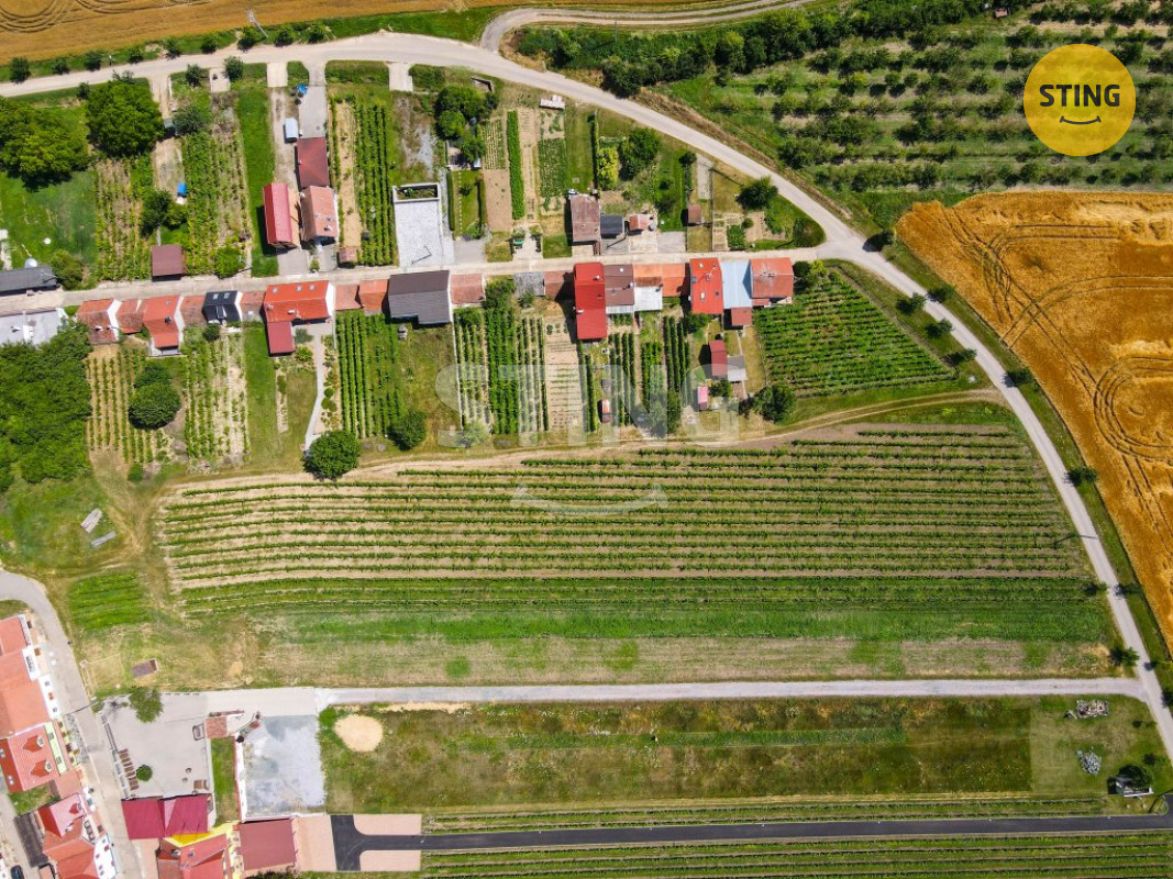 Pozemek pro vinný sklep s ubytováním a  s vinicí,  B, 132041