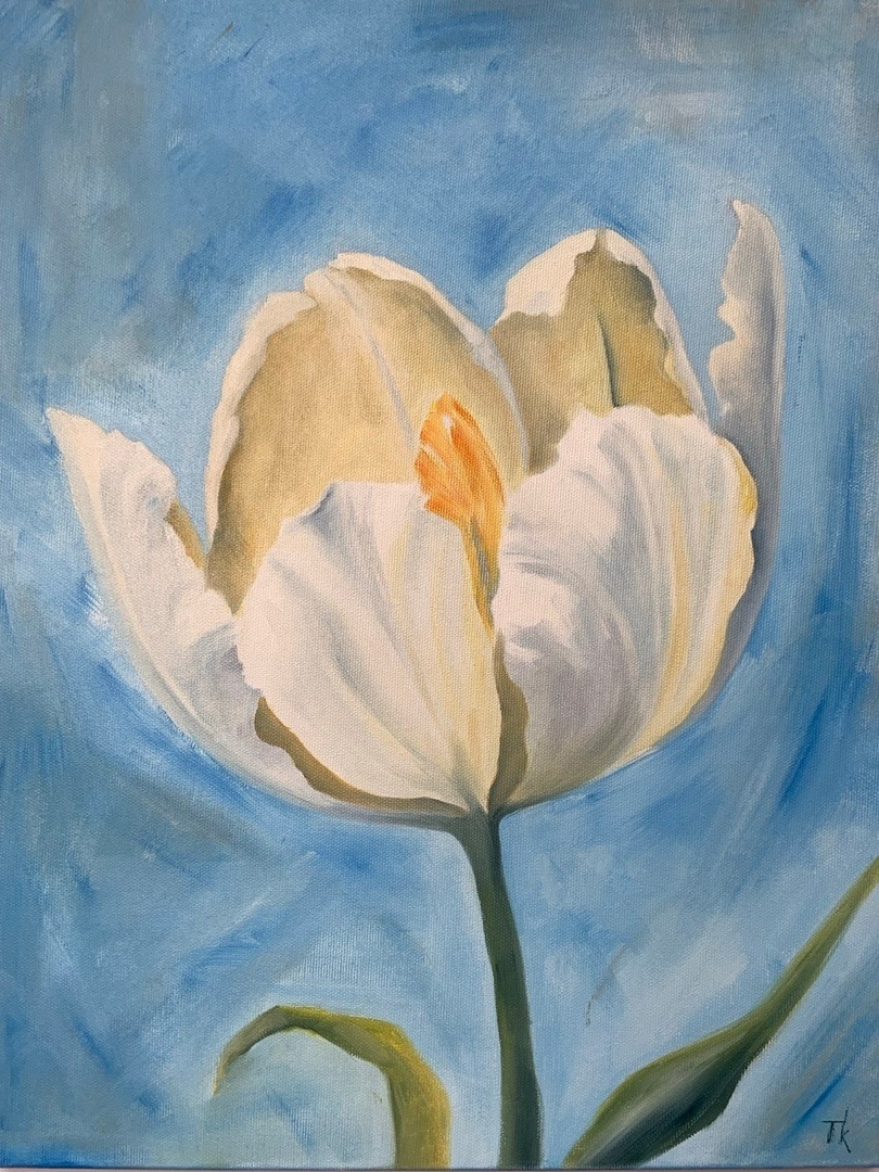 Obraz Bílý tulipán, olejomalba