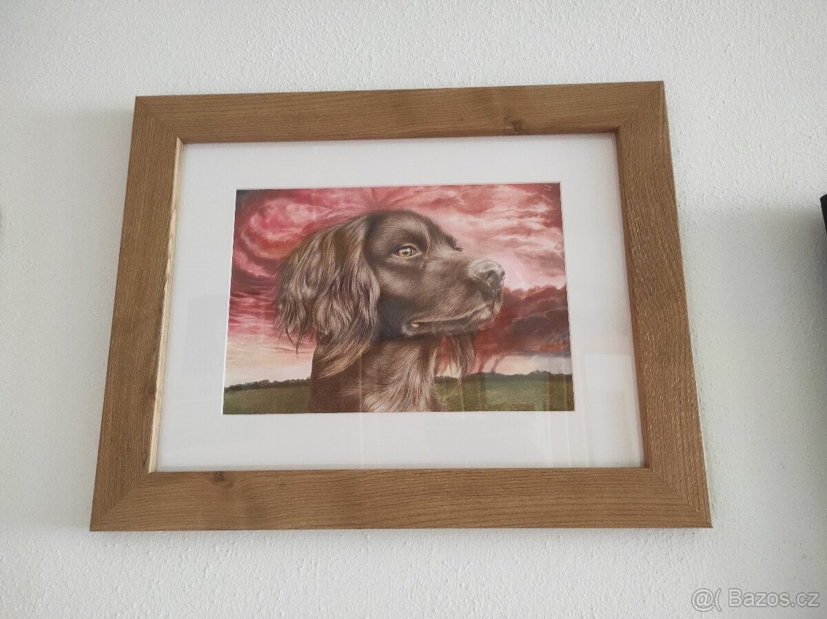 Ručně kreslený obraz I s rámečkem malý Münsterlandský ohař