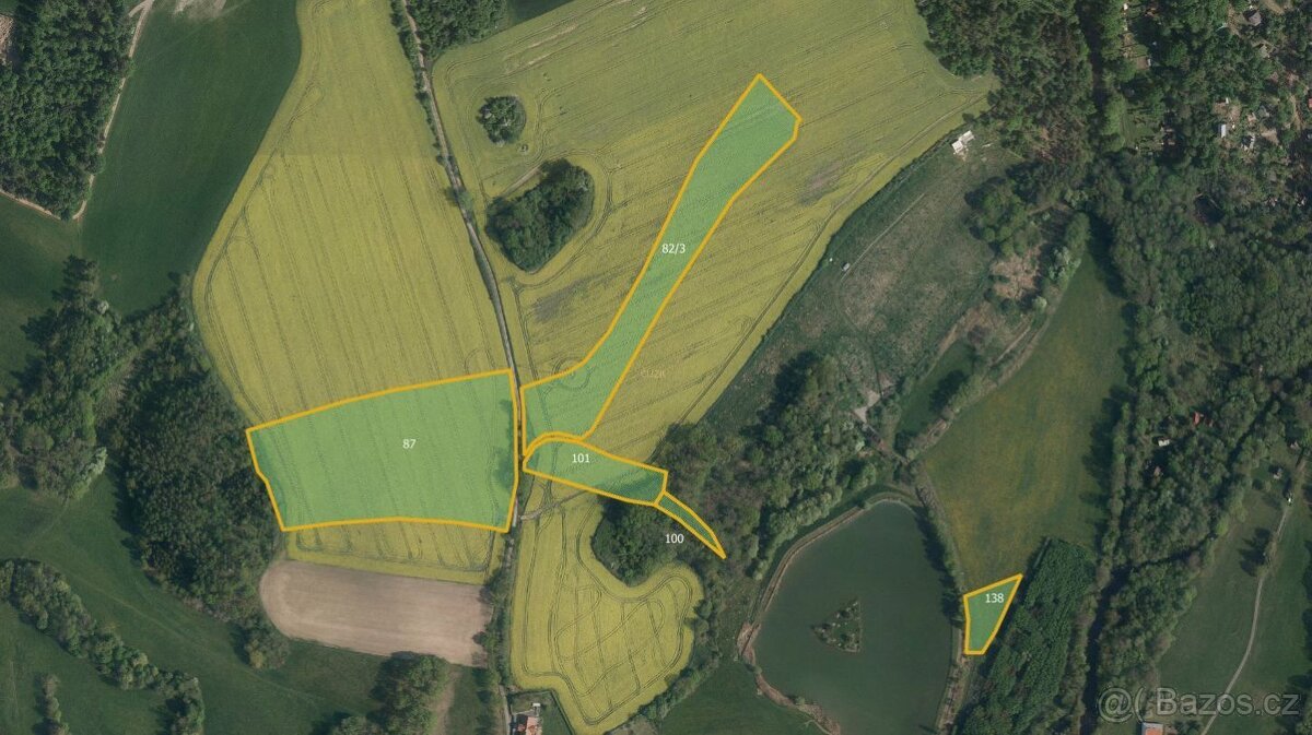 Zemědělská půda, prodej, Svídnice, Chrudim