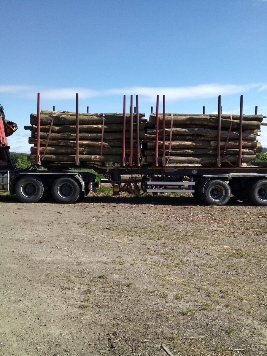 Palivové dřevo Buk kladovka