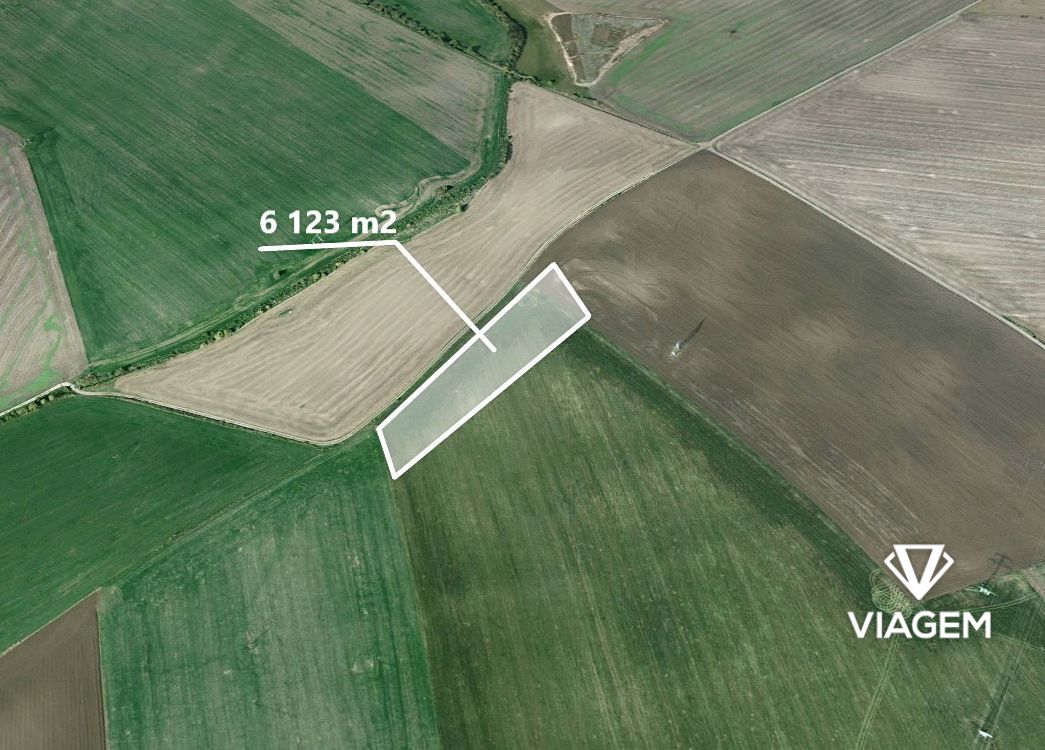 Field 6,123 m², Share 25% of area 1,531 m²
