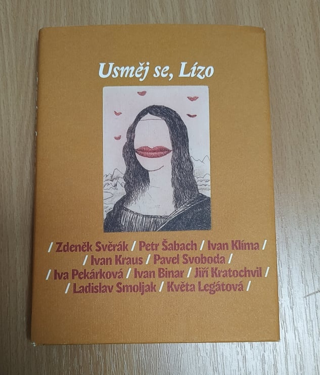 Usměj se, Lízo