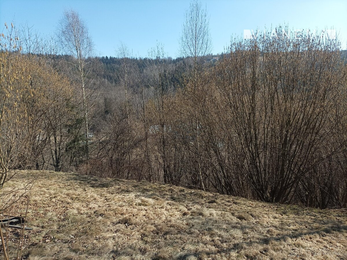Predaj rekreačného pozemku v Čadci s výbornou polohou