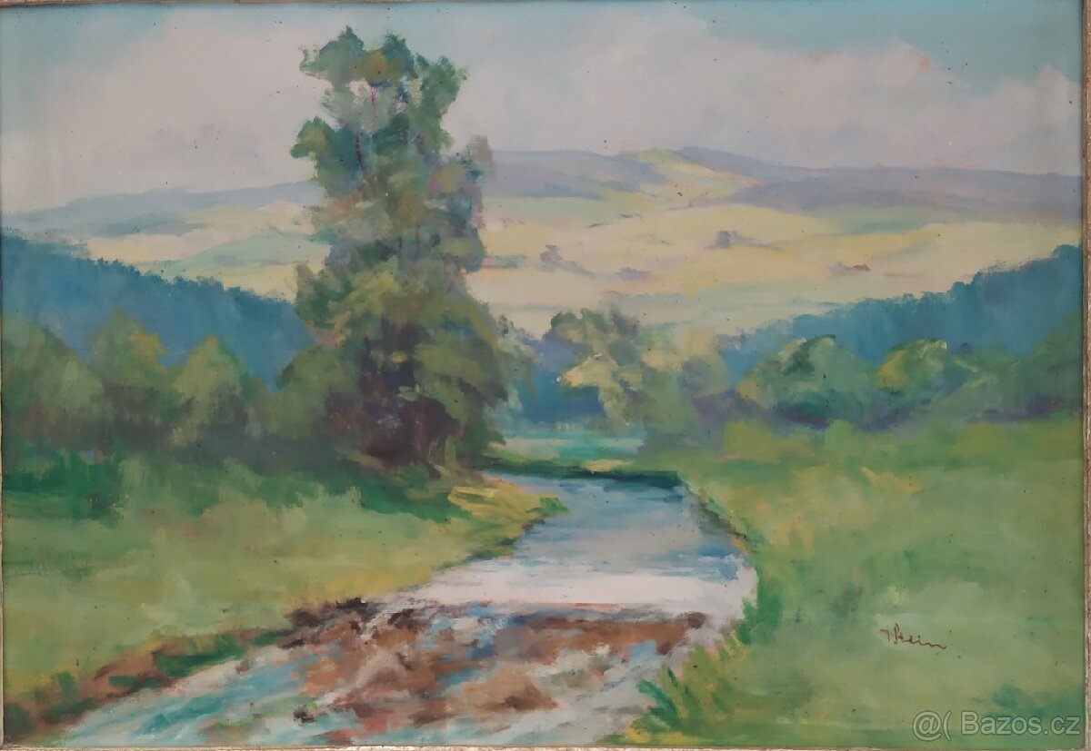 Obraz, Řeka s horami, V. Stein