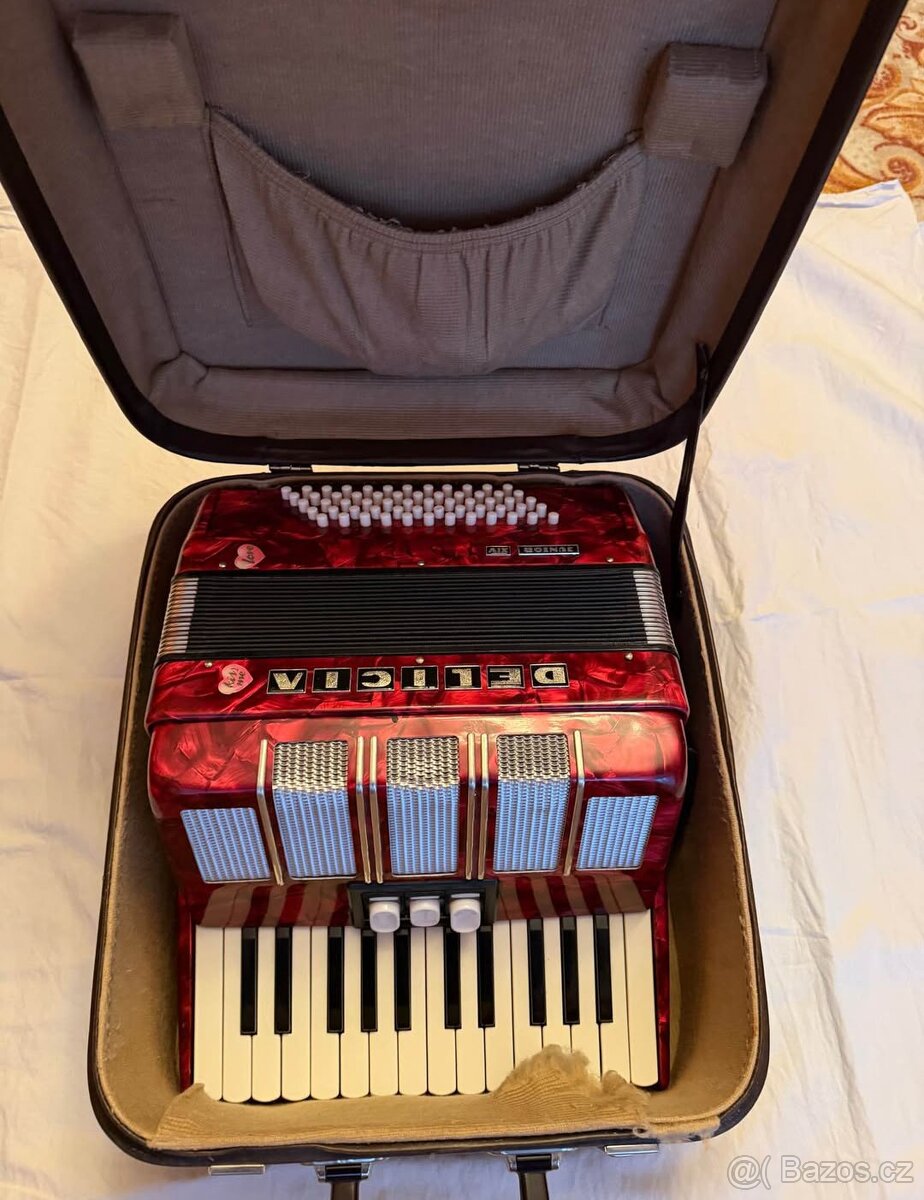 Akordeon Delicia Junior