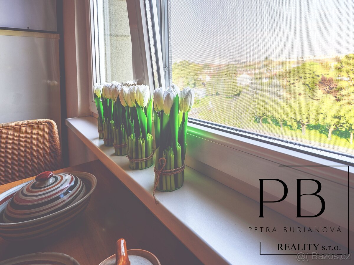 Družstevní byt 2+1 ve Strašnicích s výhledem do zeleně