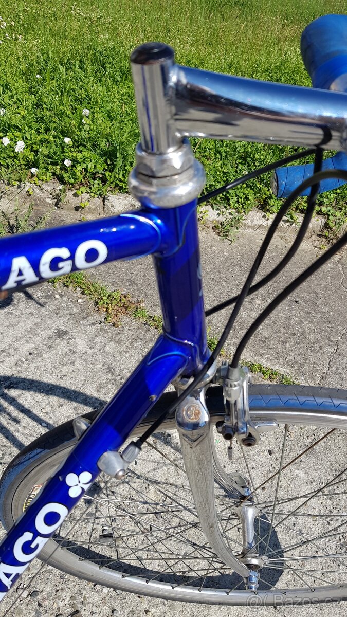 Colnago