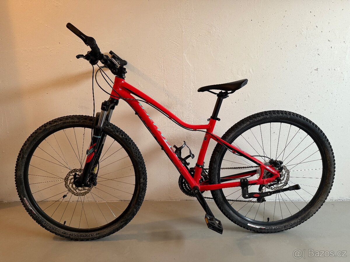 Specialized Jett