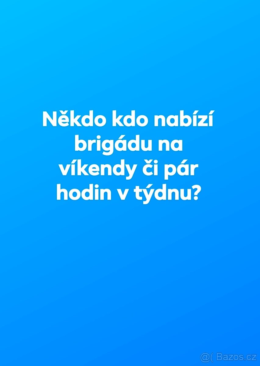 Někdo brigádu