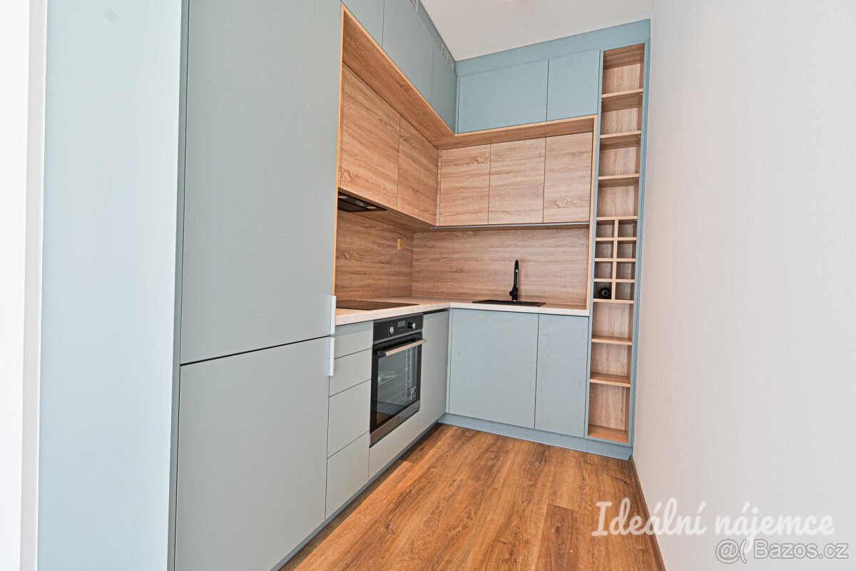 Pronájem bytu 2+kk, Bystrcká, Komín, Kč/měs, 49 m2