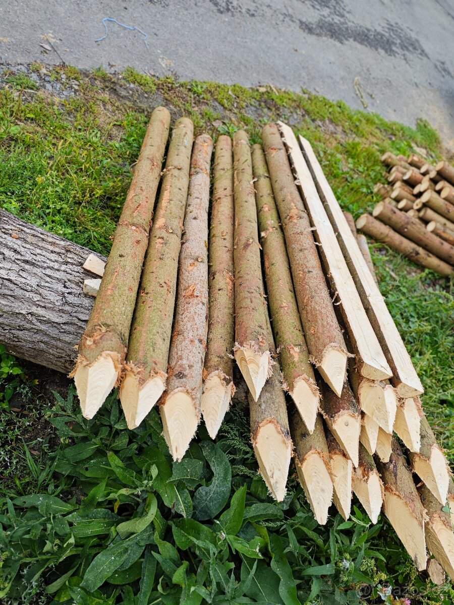 Dřevěné kůly ,čertsvy smrk